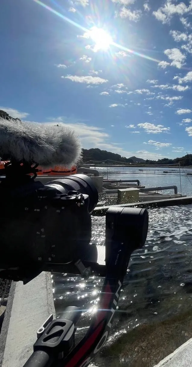 SNS運用のご依頼増えてます!